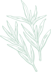 Shape Image
